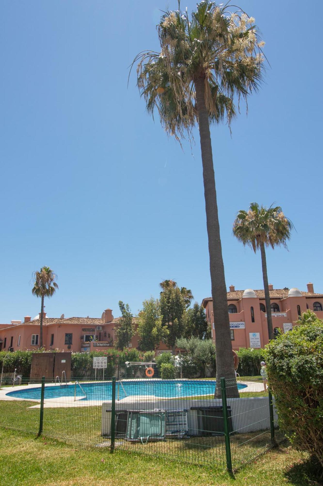 Studio In Calypso,Calahonda 200 Metres From The Beach Sitio de Calahonda Екстер'єр фото